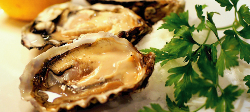 一年中、カニや牡蠣がおいしく食べられるシーフードレストラン OCEANS